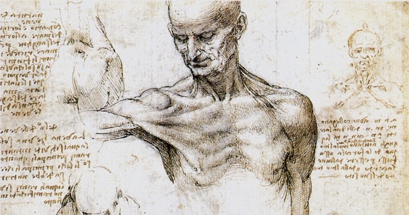 думать как леонардо да винчи. думать как леонардо да винчи. леонардо да винчи в эрмитаже. туринский портрет леонардо да винчи. леонардо да винчи дата рождения.