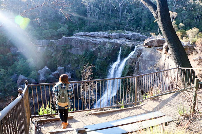 Carrington Falls Hike NSW Australia