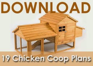 Pictures of Chicken Coops ~ Best Chicken Coop Guide - Chicken Coop Plans