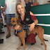Cão é adotado após ficar 4 meses à espera do dono que morreu