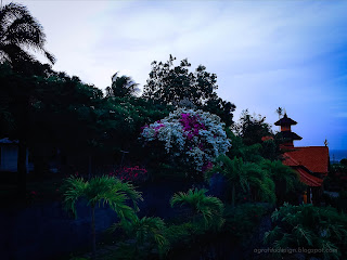 Gardens View Of Buddhist Temple In The Evening At Banjar Tegeha Village, North Bali, Indonesia