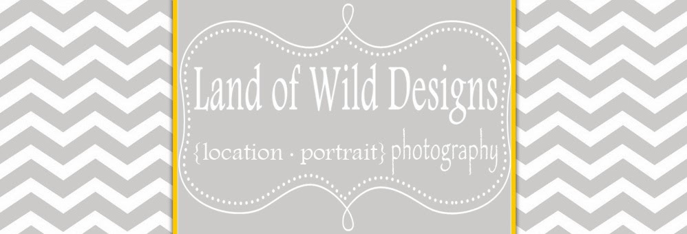 Land of Wild Designs Photography