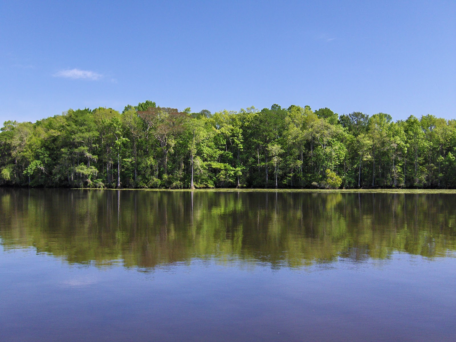 The Great Loop On Karma Waccamaw River