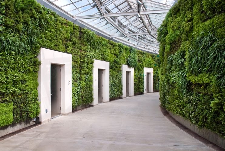 Tips and Ideas For Decorating Outdoor with Artificial Green Walls