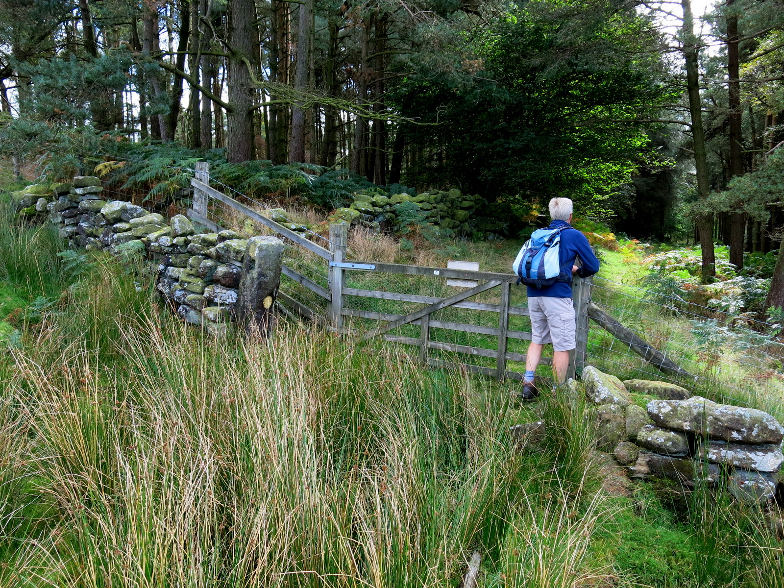 Walking in North Yorkshire