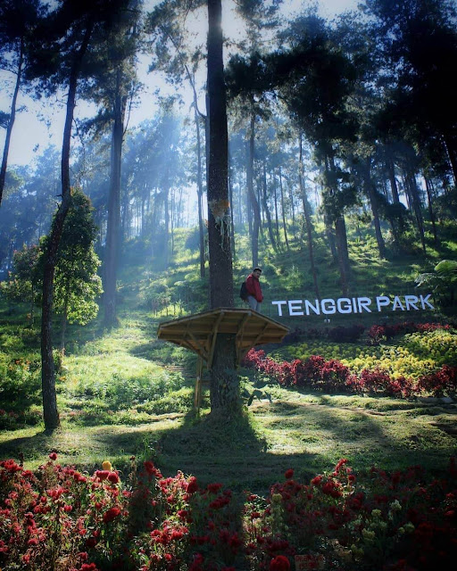 tenggir park