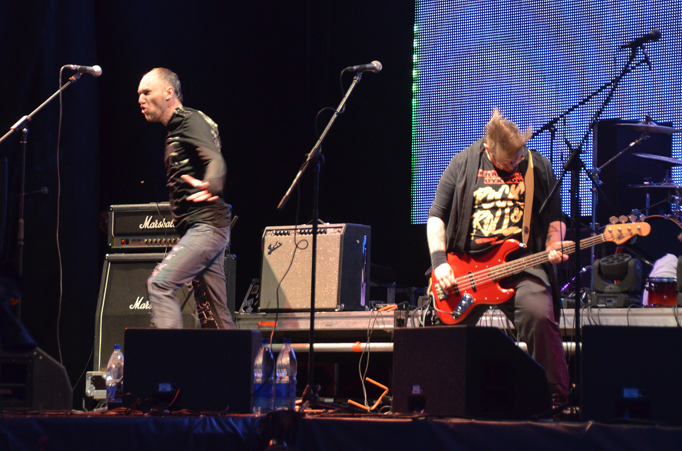 Rock line. Гитаристка у жеки григорьева. Рок лайн пермь бахаревка 2010. Роклайн 1998. Роклайн пермь фото.