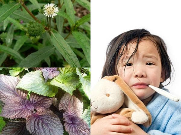 Những việc cần làm giúp con khỏi bệnh khi trẻ bị sốt 3 Những việc cần làm giúp con khỏi bệnh khi trẻ bị sốt 3
