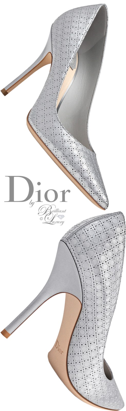 dior highheel