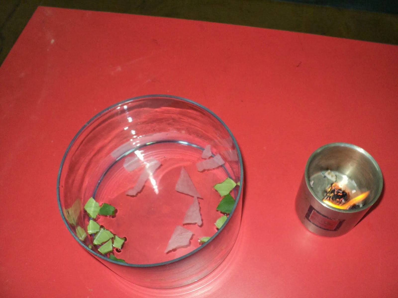 The Rustomjee Cambridge Diaries: Grade 3 Science Activity : Our Environment