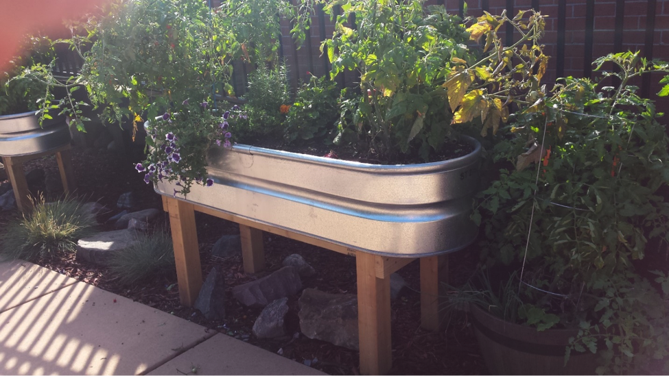 JeffCo Master Gardeners Tips for Senior Gardening 4 Raised Beds