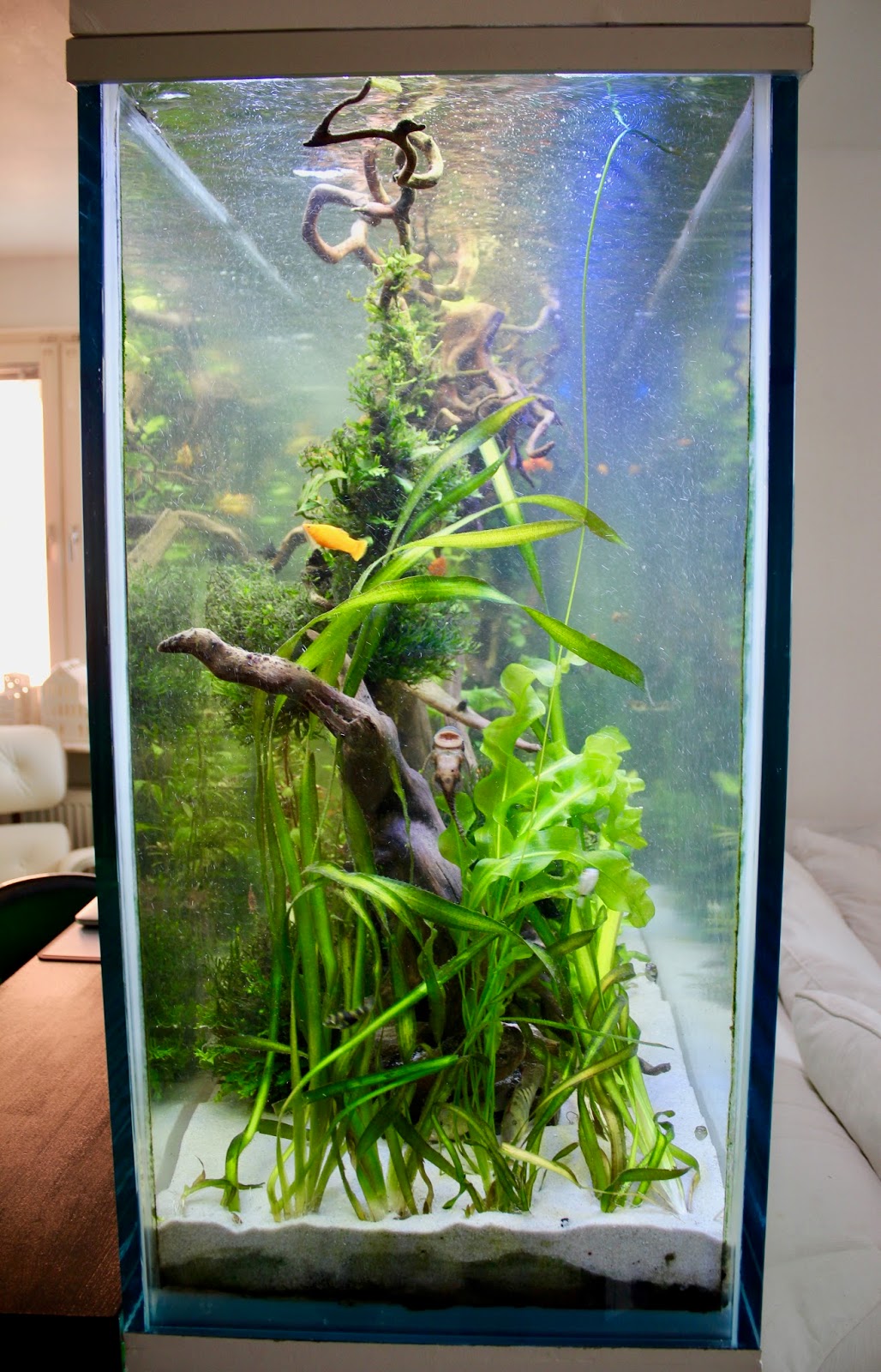 IMG_7611.jpg (1028×1600)