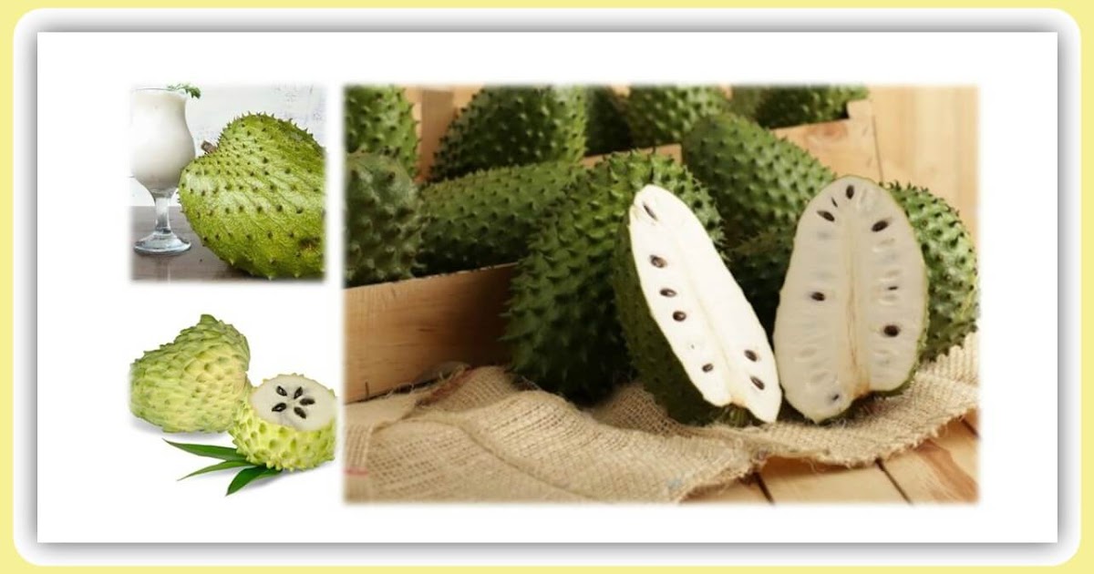 Las hojas de guanábana son 100 veces más fuertes en matar células cancerosas que la