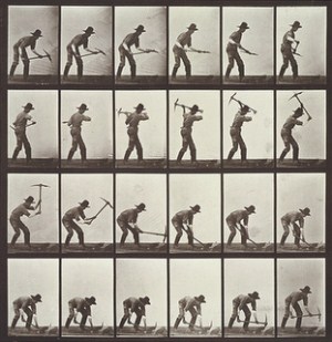 Image result for animasi stop motion