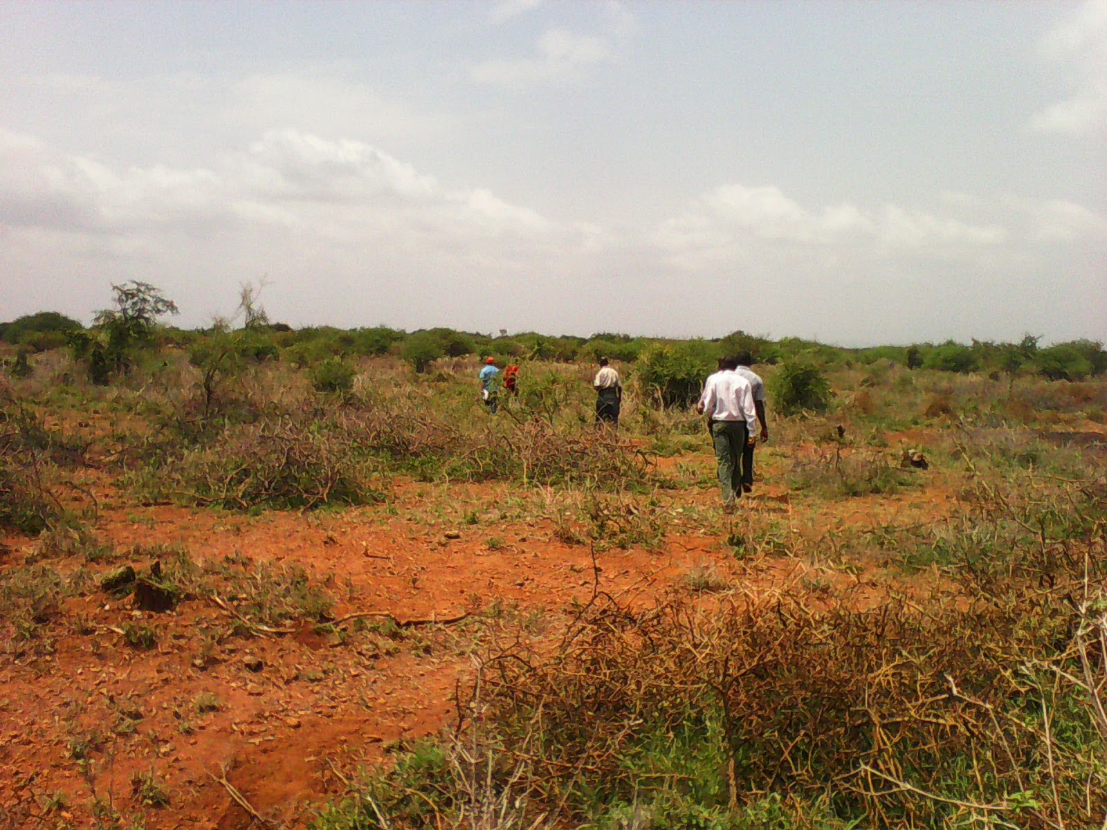 40 acres of Land in saikeri Behind Ngong hills