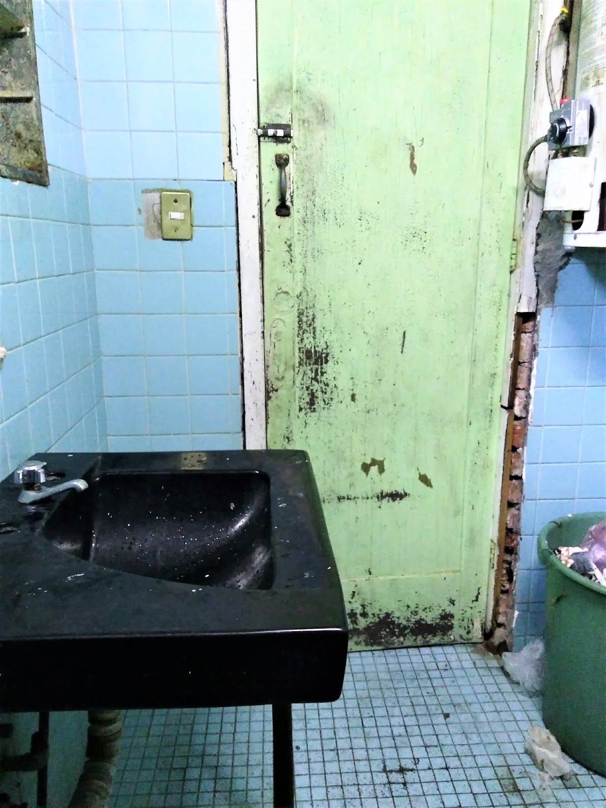 Living Rootless Mexico City Toilets I Have Known, Including This One