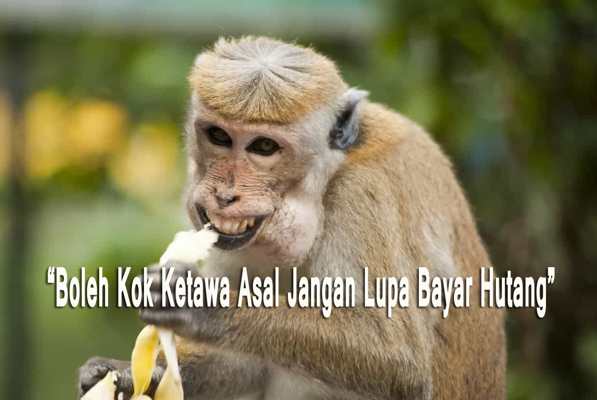Kata Kata Bijak Lucu Kata Kata Bijak Lucu