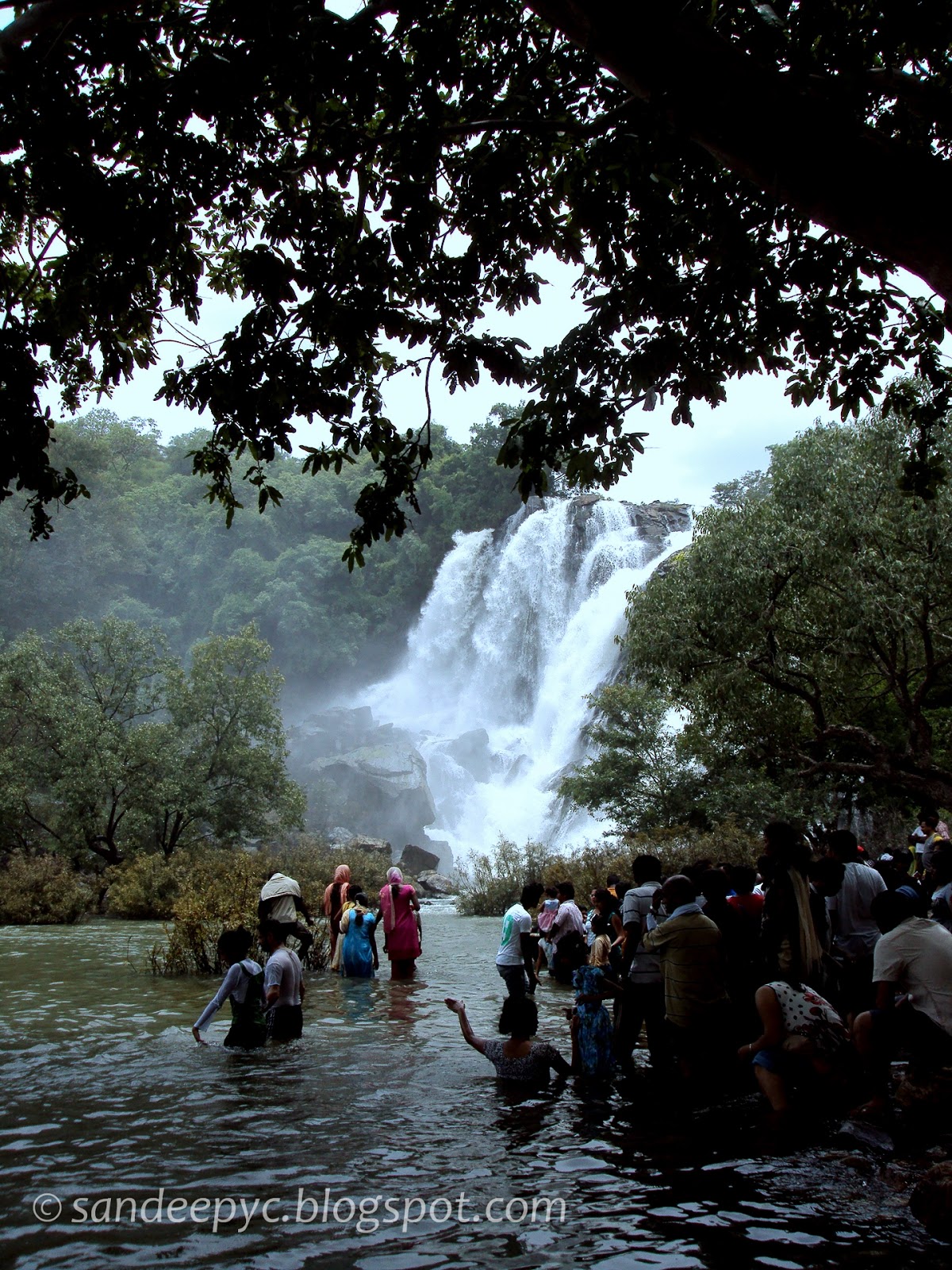 Bharachukki falls