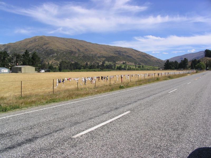 The Cardrona Bra Fence, New Zealand