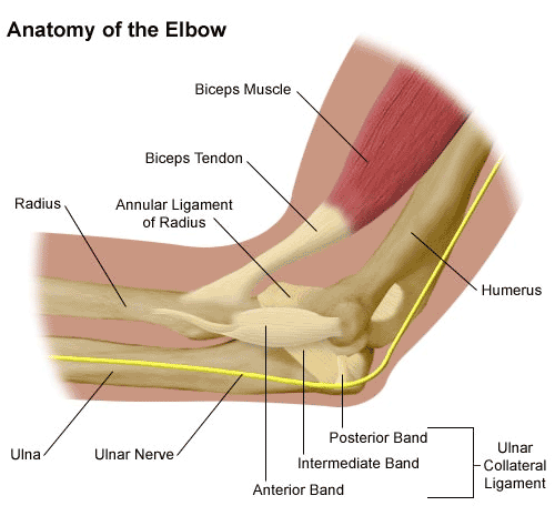 Nerve Pain: Nerve Pain Inner Elbow