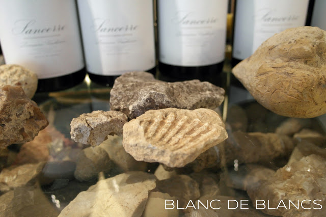 Mineraalisuus viinissä - www.blancdeblancs.fi