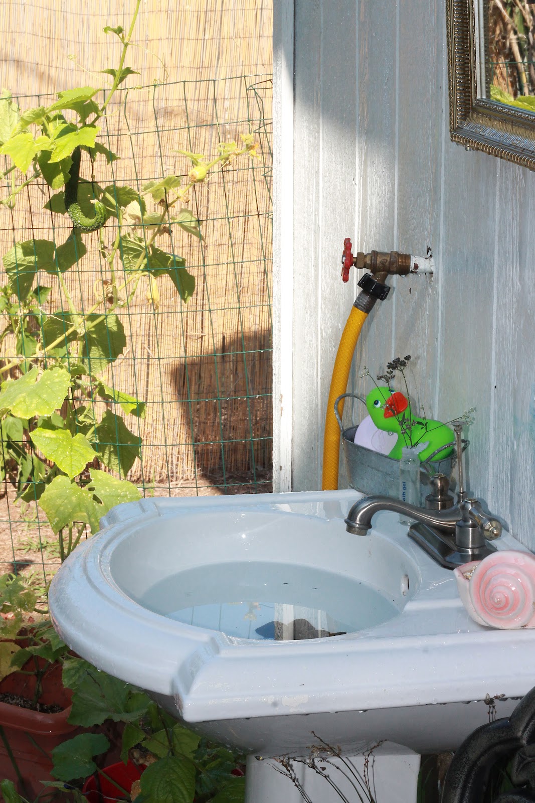 A Slice of Texas blog Bird Bath & Beyond