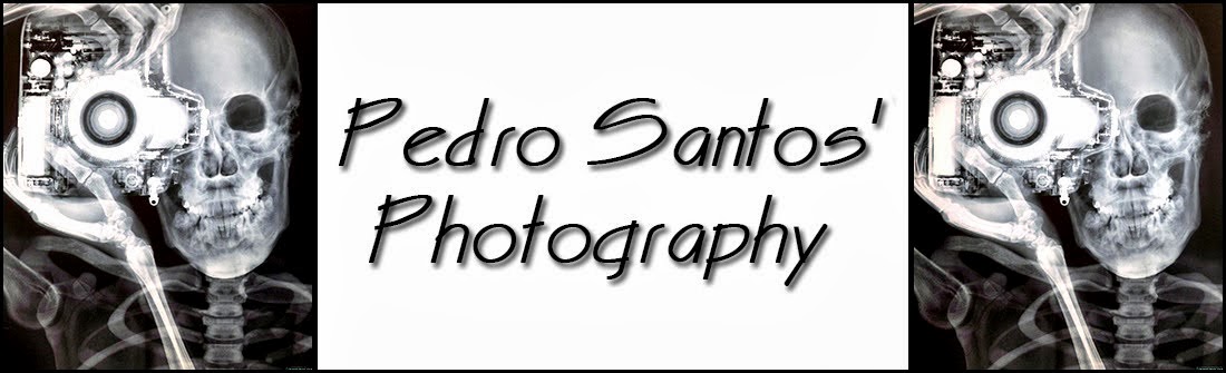 Pedro Santos' Photography