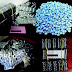 Drug Vendor And Reseller Arrested In Sweden