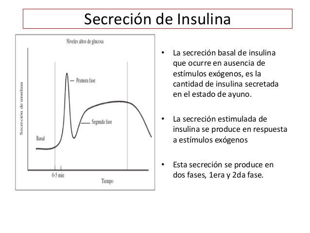 Se dice Médico: Fisiopatologia de la Diabetes Mellitus tipo 2 Se dice Médico: Fisiopatologia de la Diabetes Mellitus tipo 2