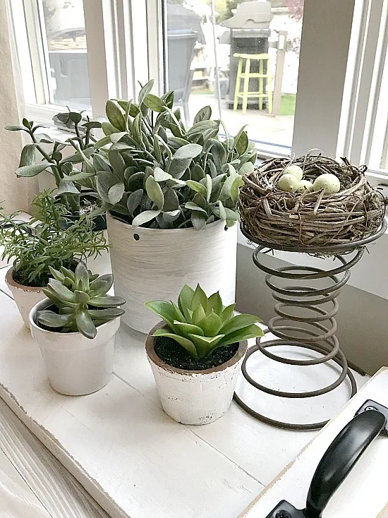 Windowsill garden with real and faux plants