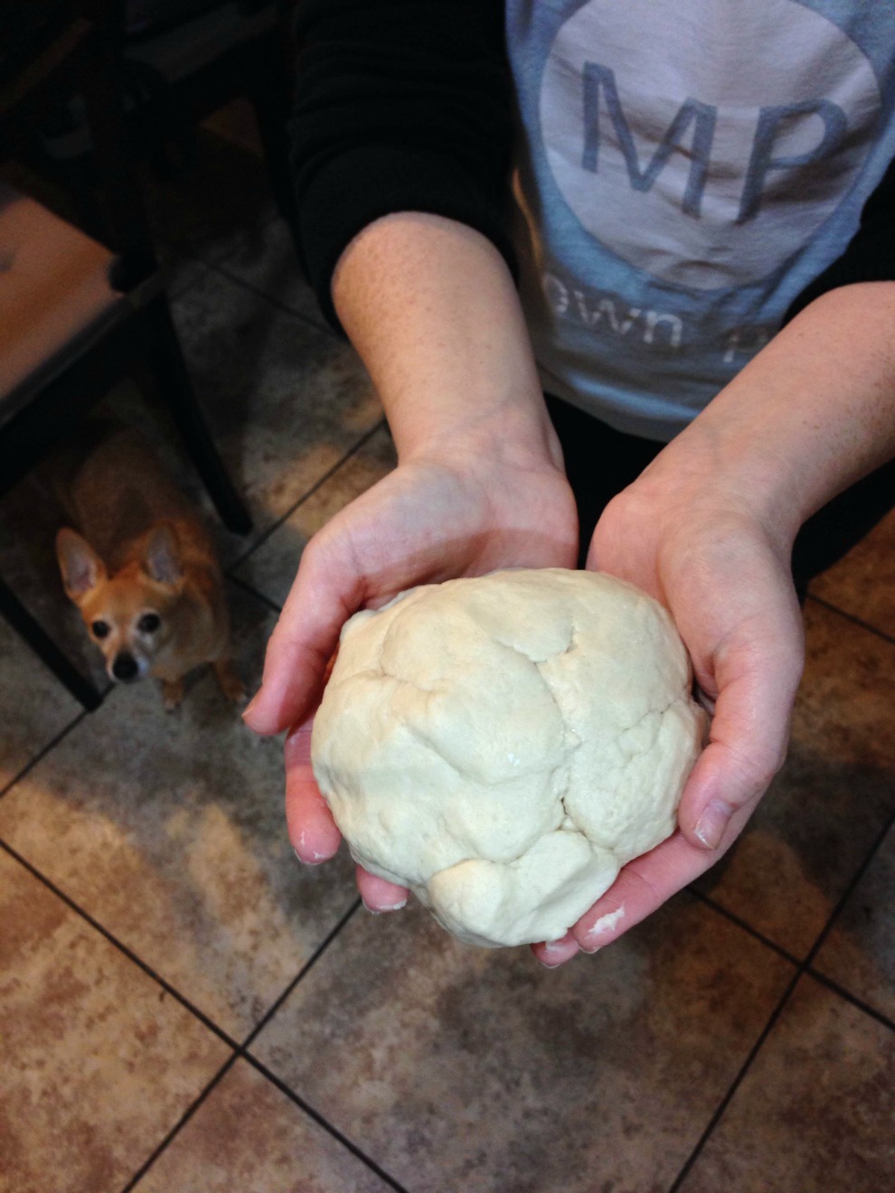 Homemade Pizza Dough - Arnold Adventures