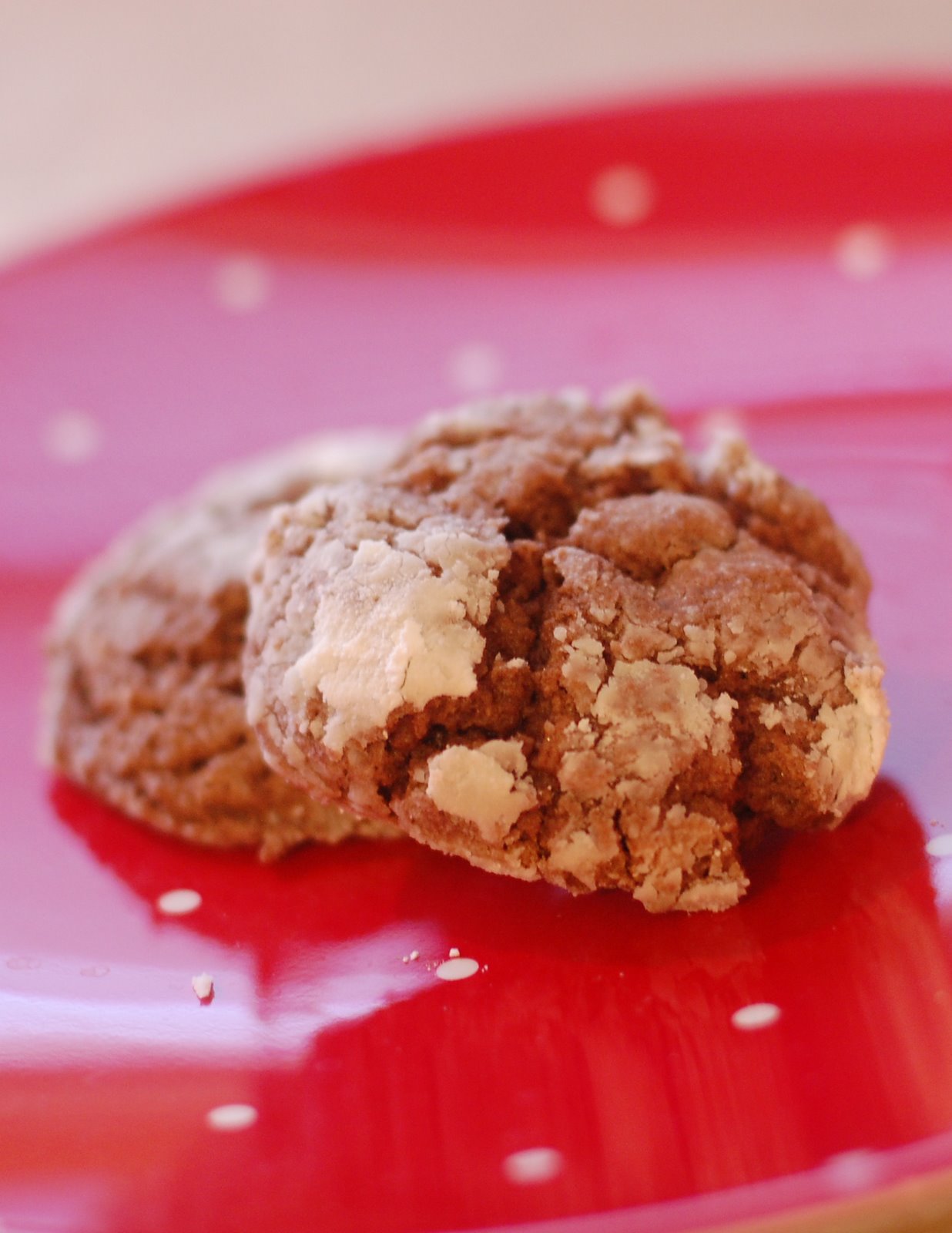 Life with the Little R&amp;#39;s: Ooey Gooey Chocolate Butter Cookies