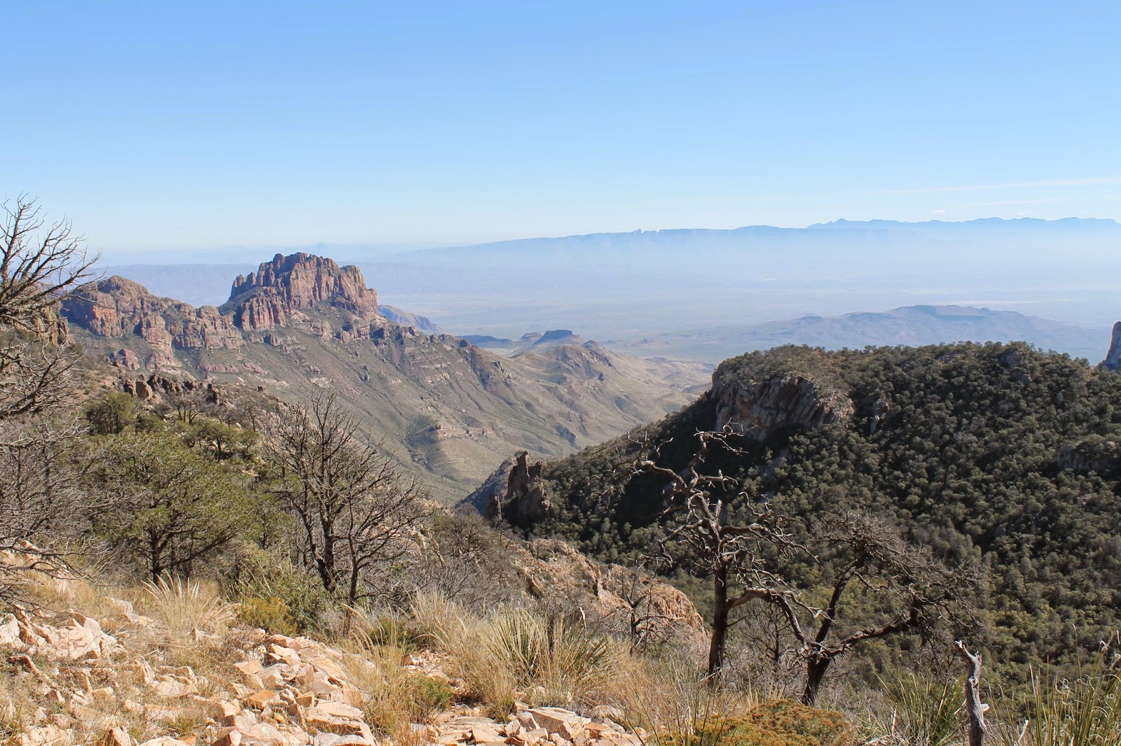 Daddy Day Hiker: Emory Peak Day Hike Big Bend National Park (Texas)