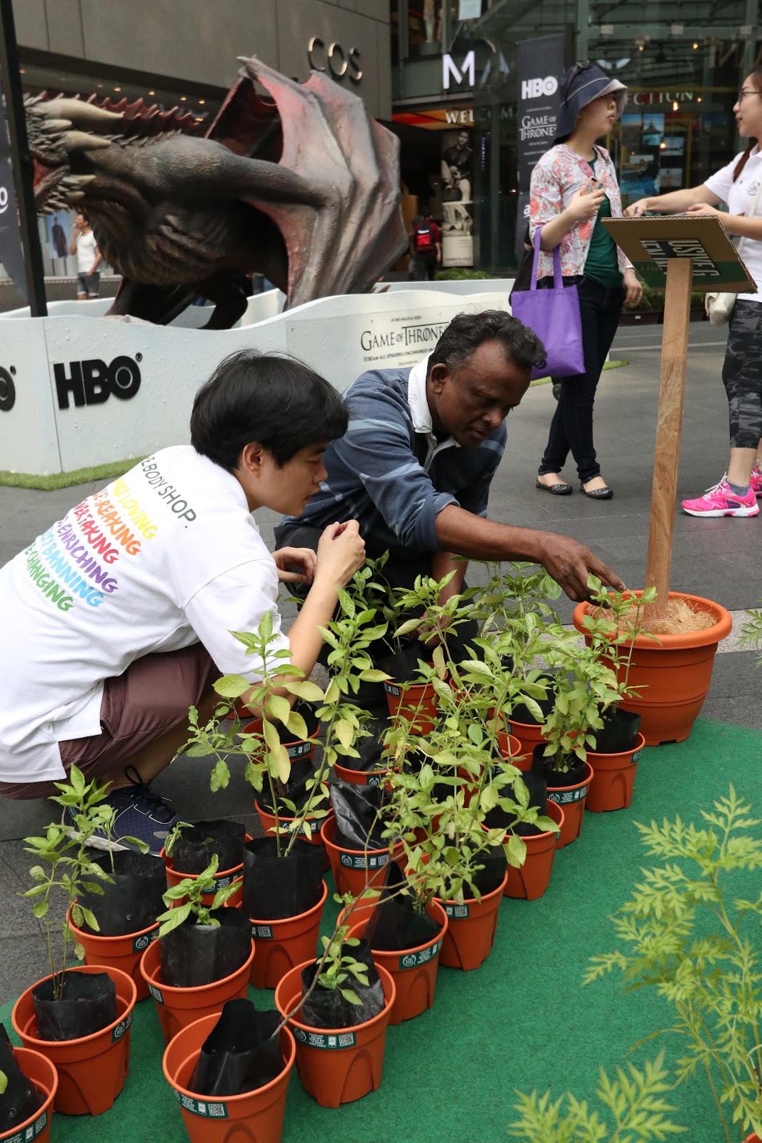 The Beauty Junkie The Body Shop Earth Day Plant