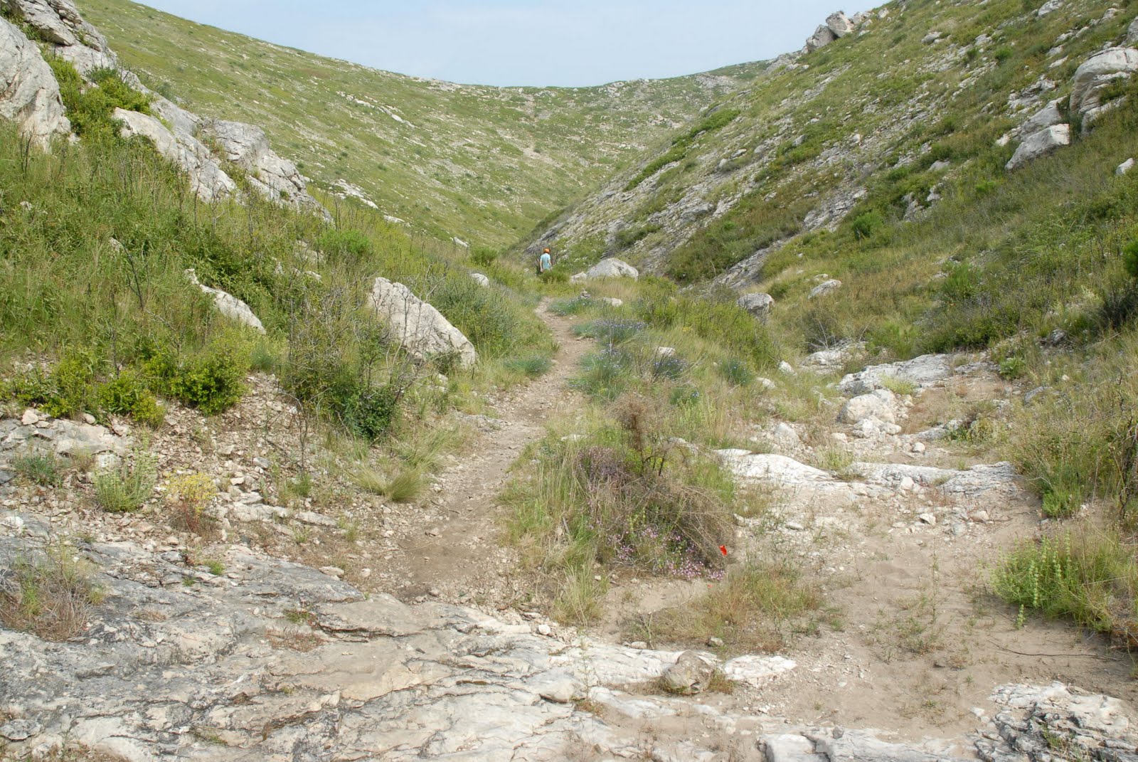 idee randonnee marseille&alpes: VALLON DE LA BARASSE ET DE LUYNANT