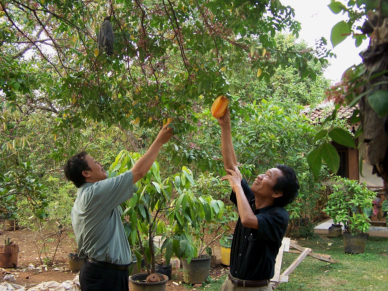 Contoh Peluang Bisnis Pertanian Yang Menguntungkan