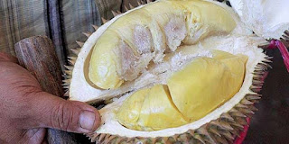 Durian Enak Durian Montong