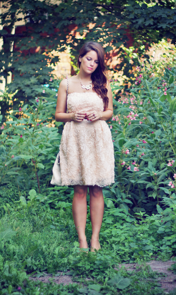 La Vita Mia One Million Rose Petals La Vita Mia One Million Rose Petals