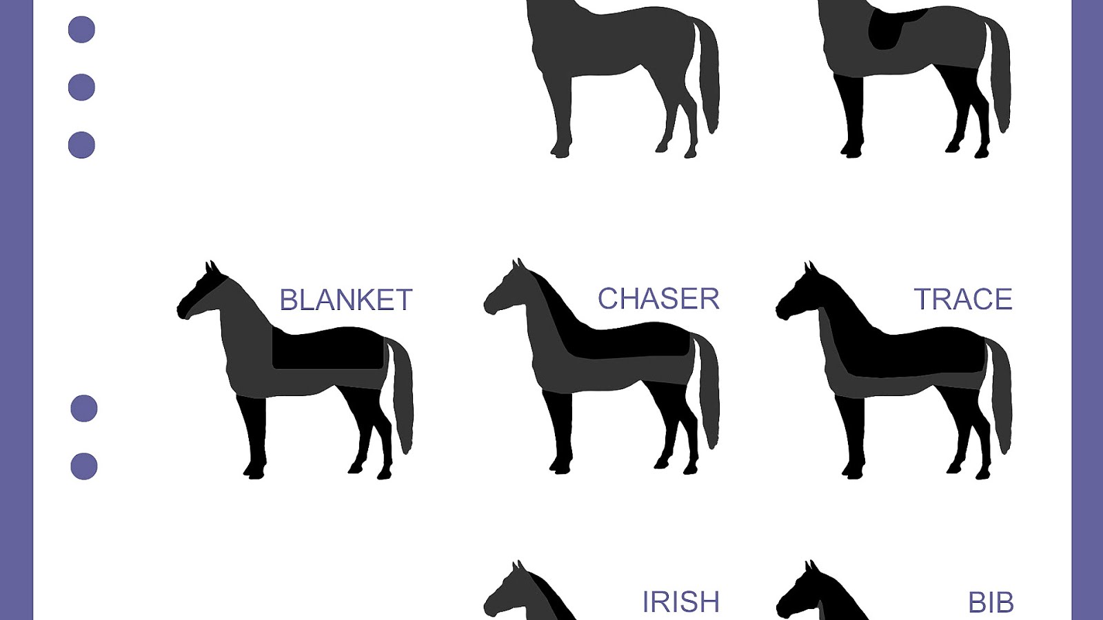 Horses in the Middle Ages Horse Choices