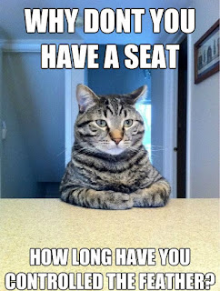 Cat Memes Photos Cat Memes Photos