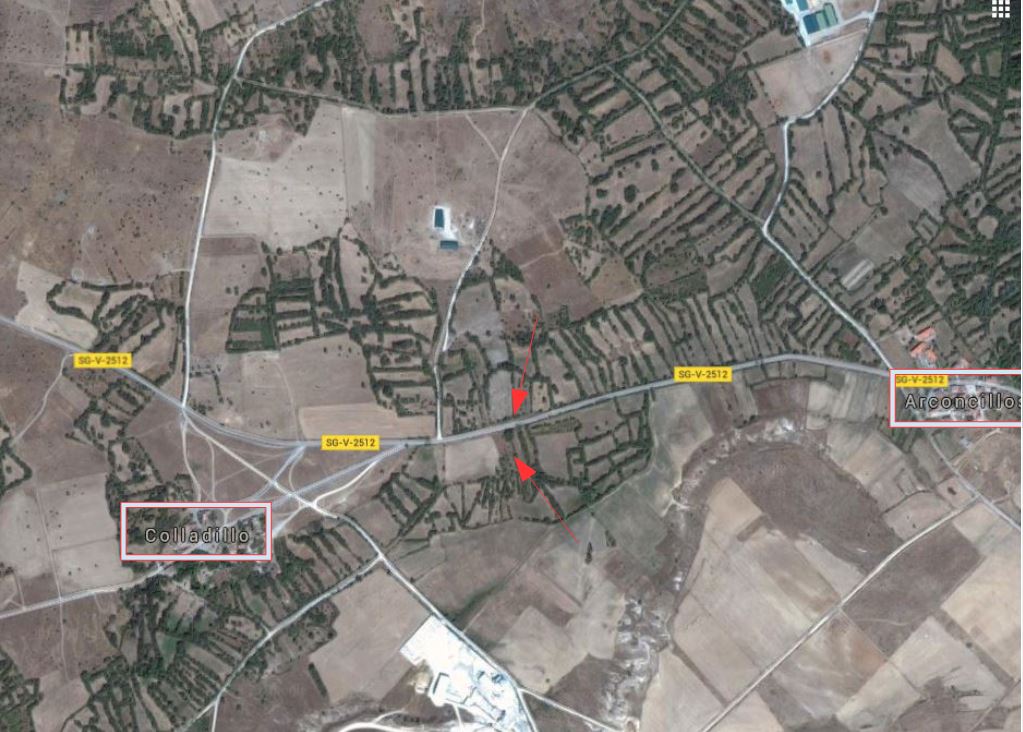 PEDRAZA VERDE ÁRBOL SINGULAR