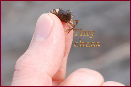 Tiny Chess Tinychess