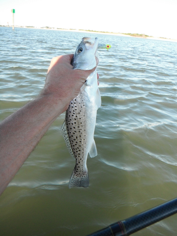 North Carolina River Fishing and Canoeing with Mack Speckled Trout At