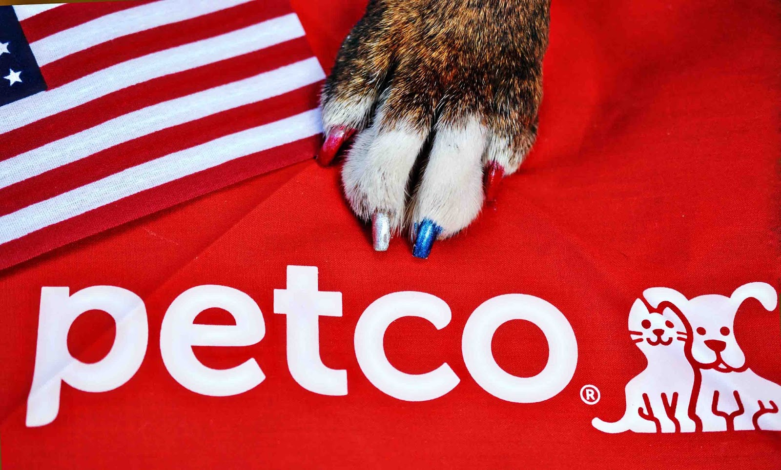 Theresa's Mixed Nuts Good, Clean Fun at Petco Grooming PetcoGrooming MM