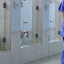 This South Korean cloning facility promises to bring back your dead dog
