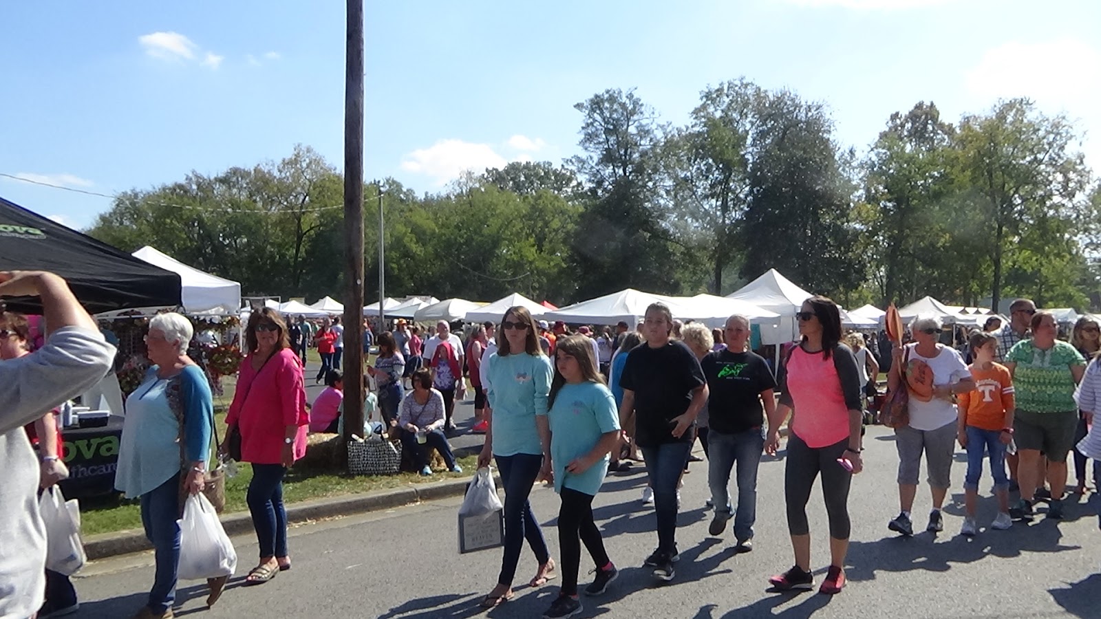 In My Painted Garden 2016 Maple St b School Bell Buckle TN