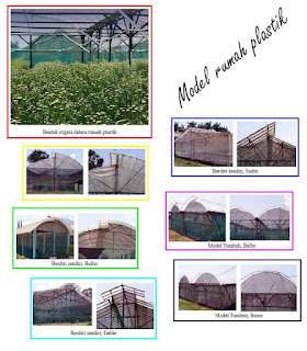 Rumah Plastik Untuk Pelaku Bisnis Tanaman Hias Serius Rumah Plastik Untuk Pelaku Bisnis Tanaman Hias Serius
