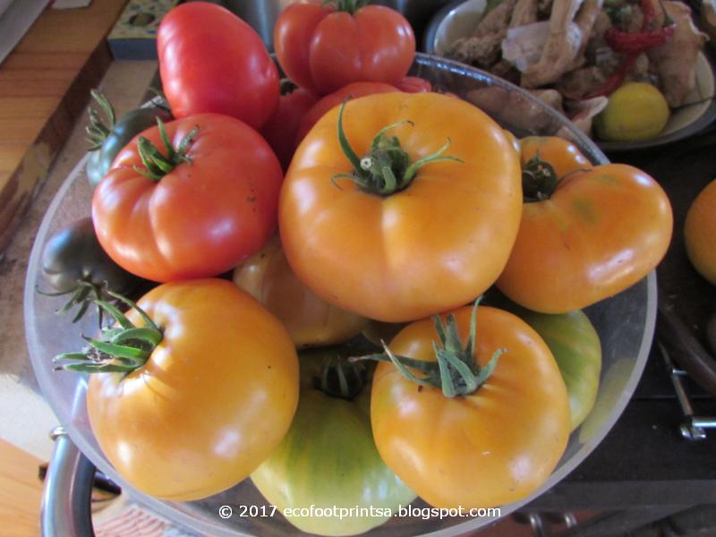 Eco Footprint South Africa What a week...