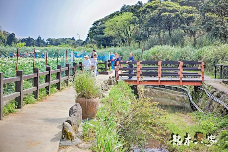 名陽匍休閒農莊|頂湖海芋步道~台北陽明山竹子湖海芋季官網封面照就是在這拍的