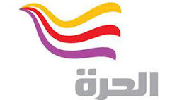 الحرة: 25% من المصريين شاهدوا القناة خلال أيام الثورة